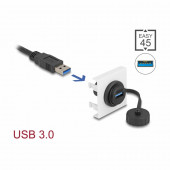 Delock modul Easy USB 45x45 81410