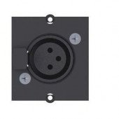 Bachmann modul 1xXLR 917.024