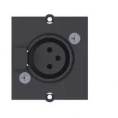 Bachmann modul 1xXLR 917.024