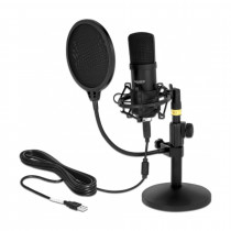 Delock mikrofon kondenzatorski USB set za Podcast in Gaming 66300